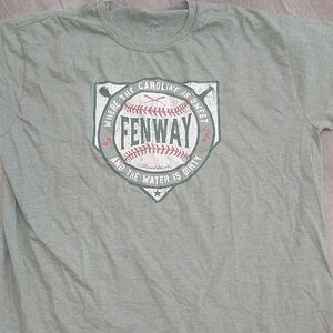 Hanes Gray Graphic T-Shirt